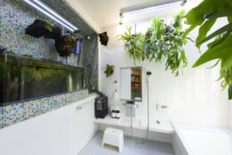 末永ハウジング太宰府市高雄漆喰無垢材